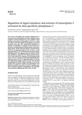 Regulation of Signal Transducer and Activator of Transcription 3 Activation by Dual-Specificity Phosphatase 3