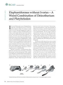 A Weird Combination of Deinotherium and Platybelodon