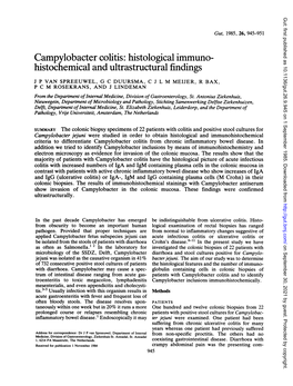 Campylobacter Colitis: Histological Immuno- Histochemical and Ultrastructural Findings