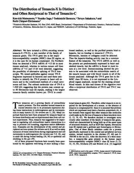 The Distribution of Tenascin-X Is Distinct and Often Reciprocal To