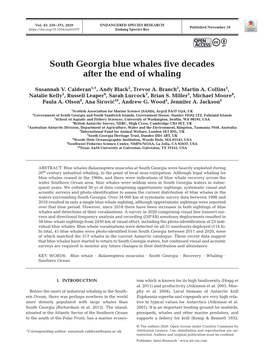 South Georgia Blue Whales Five Decades After the End of Whaling