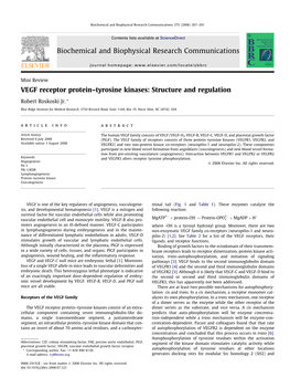 VEGF Receptor Protein–Tyrosine Kinases: Structure and Regulation