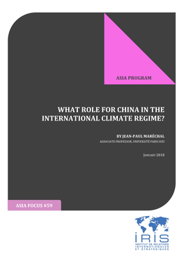 What Role for China in the International Climate Regime?