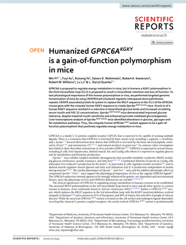 Humanized GPRC6AKGKY Is a Gain-Of-Function Polymorphism in Mice