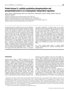 Protein Kinase Cζ Exhibits Constitutive Phosphorylation and Phosphatidylinositol-3,4,5-Triphosphate-Independent Regulation Irene S