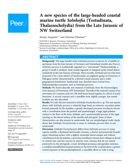 A New Species of the Large-Headed Coastal Marine Turtle Solnhofia