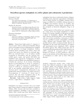 Penicillium Species Endophytic in Coffee Plants and Ochratoxin a Production