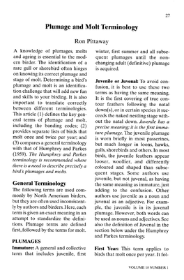 Plumage and Molt Terminology