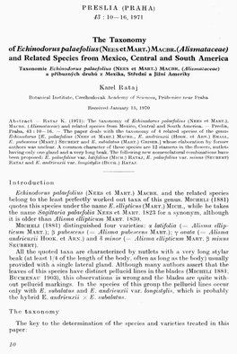 The Taxonomy of Echinodorus Palaefolius (NEES Et MART.) Macbr