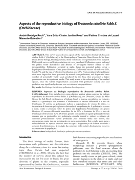 Aspects of the Reproductive Biology of Brassavola Cebolleta Rchb.F