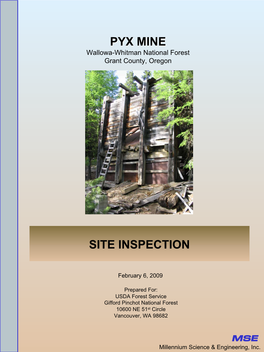 Pyx Mine Site Inspection Report Page I MSE TABLE of CONTENTS (Continued)
