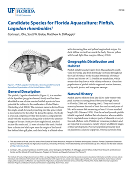 Candidate Species for Florida Aquaculture: Pinfish, Lagodon Rhomboides1 Cortney L