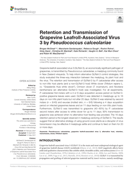 Retention and Transmission of Grapevine Leafroll-Associated Virus 3 by Pseudococcus Calceolariae