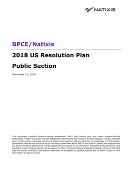 BPCE/Natixis 2018 US Resolution Plan Public Section