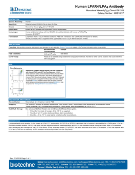 Human LPAR4/LPA Antibody