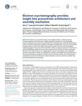 Electron Cryo-Tomography Provides Insight Into Procentriole Architecture