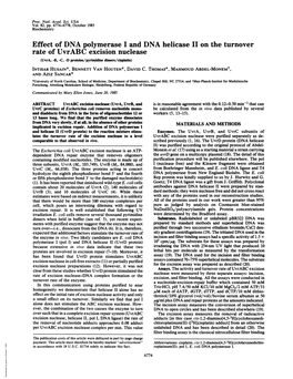 Effect of DNA Polymerase I and DNA Helicase II on the Turnover Rate Of