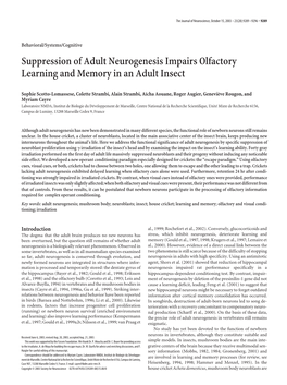 Suppression of Adult Neurogenesis Impairs Olfactory Learning and Memory in an Adult Insect