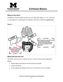 Cirrhosis Basics