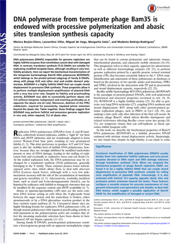 DNA Polymerase from Temperate Phage Bam35 Is Endowed with Processive Polymerization and Abasic Sites Translesion Synthesis Capacity