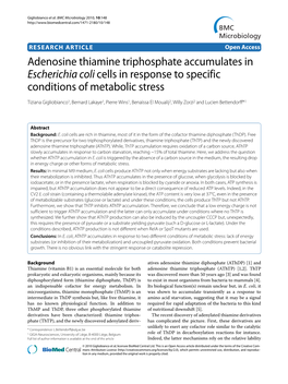 Adenosine Thiamine Triphosphate Accumulates In