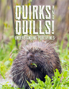 Understanding Porcupinesporcupines