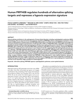 Human PRPF40B Regulates Hundreds of Alternative Splicing Targets and Represses a Hypoxia Expression Signature