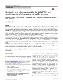 Identification of an Enhancer Region Within the TP63/LEPREL1 Locus Containing Genetic Variants Associated with Bladder Cancer Risk