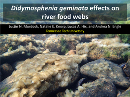 Didymosphenia Geminata Effects on River Food Webs Justin N