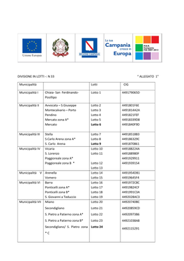 Divisione in Lotti -: N 33 “ Allegato 1”