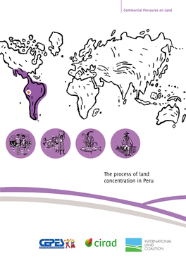 The Process of Land Concentration in Peru