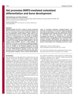 Akt Promotes BMP2-Mediated Osteoblast Differentiation and Bone Development