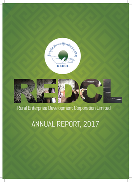 Annual Report, 2017