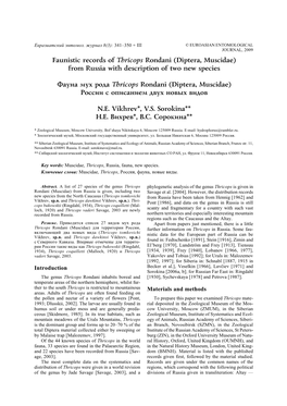 Diptera, Muscidae) from Russia with Description of Two New Species