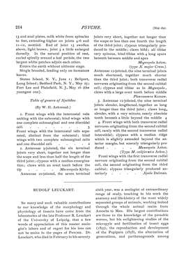 Type M. Calffornfca Ashm.) the Scape and Less Than Half the Length of The