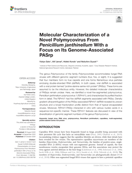 Molecular Characterization of a Novel Polymycovirus from Penicillium Janthinellum with a Focus on Its Genome-Associated Pasrp