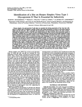 Identification of a Site on Herpes Simplex Virus Type 1 Glycoprotein D That Is Essential for Infectivity MARTIN I