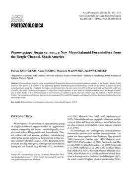 Psammophaga Fuegia Sp. Nov., a New Monothalamid Foraminifera from the Beagle Channel, South America