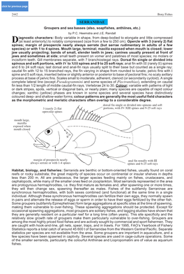 SERRANIDAE Groupers and Sea Basses (Also, Soapfishes, Anthiines, Etc.) by P.C