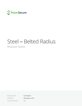 Steel – Belted Radius Release Notes