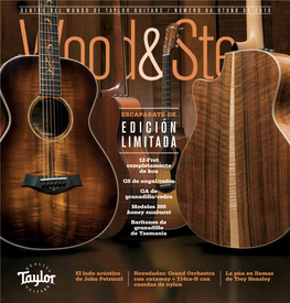 Dentro Del Mundo De Taylor Guitars