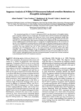 Sequence Analysis of N-Ethyl-N-Nitrosourea-Inducedvermilion Mutations in Drosophila Melanogaster