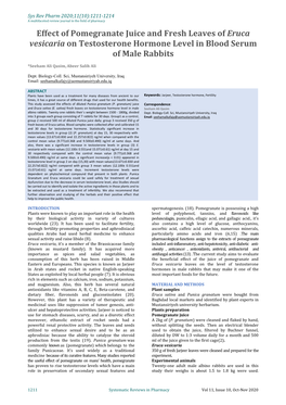 Effect of Pomegranate Juice and Fresh Leaves of Eruca Vesicaria on Testosterone Hormone Level in Blood Serum of Male Rabbits