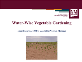 Water-Wise Vegetable Gardening