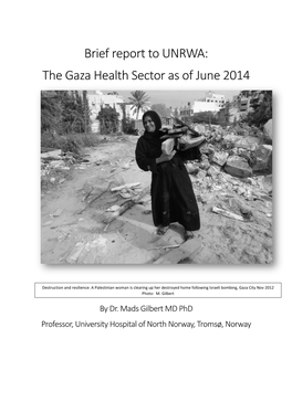 Mads Gilbert: Brief Report to UNRWA: the Gaza Health Sector As of June