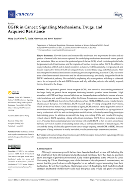 EGFR in Cancer: Signaling Mechanisms, Drugs, and Acquired Resistance