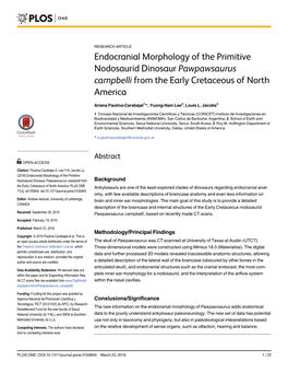 Endocranial Morphology of the Primitive Nodosaurid Dinosaur Pawpawsaurus Campbelli from the Early Cretaceous of North America