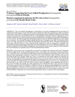 Evidence Suggesting That Ivory-Billed Woodpeckers (<I>Campephilus