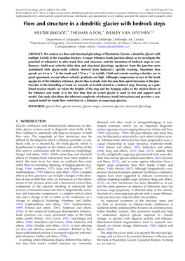 Flow and Structure in a Dendritic Glacier with Bedrock Steps