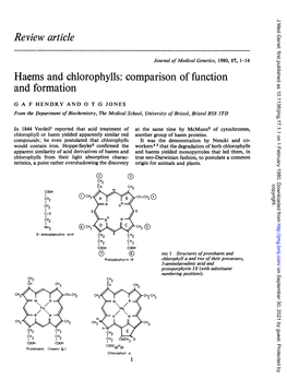 And Formation